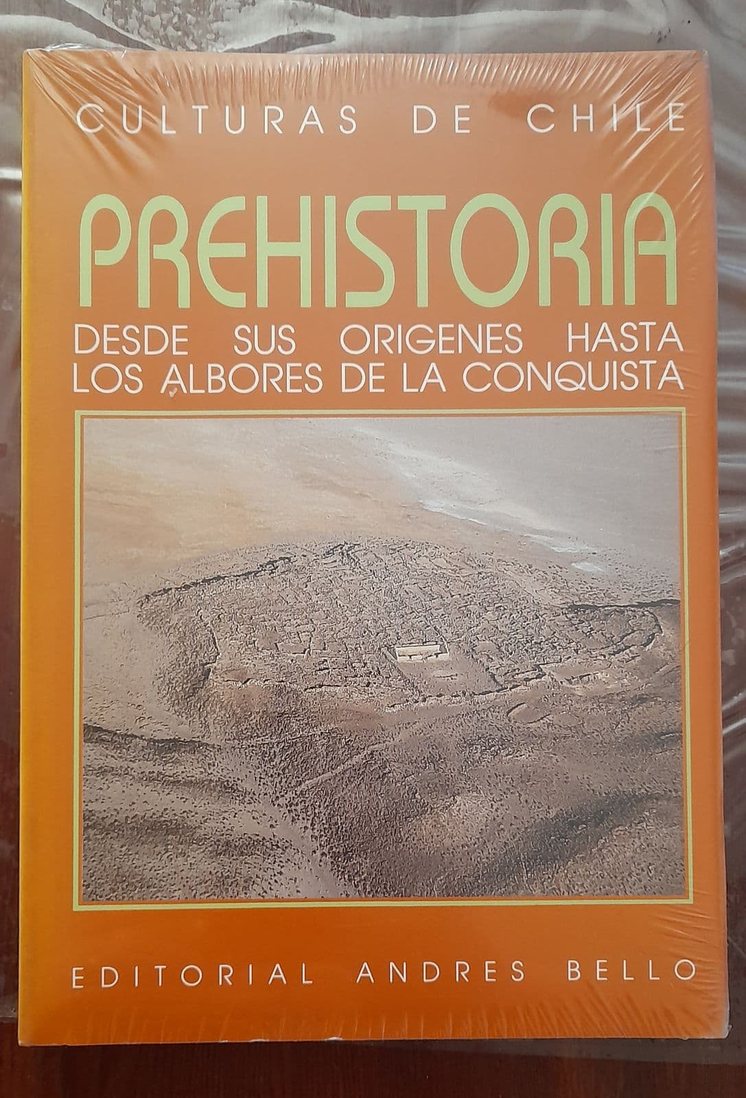 Prehistoria Desde sus orígenes hasta los albores de la conquista — Jorge Hidalgo Lehuedé, libro usado