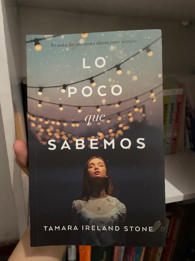 Lo poco que sabemos — Tamara Ireland Stone, libro usado