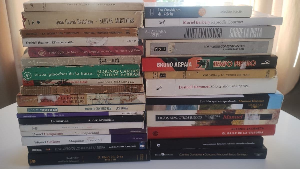 Lote de 30 libros, Solo Novelas (Narrativa)