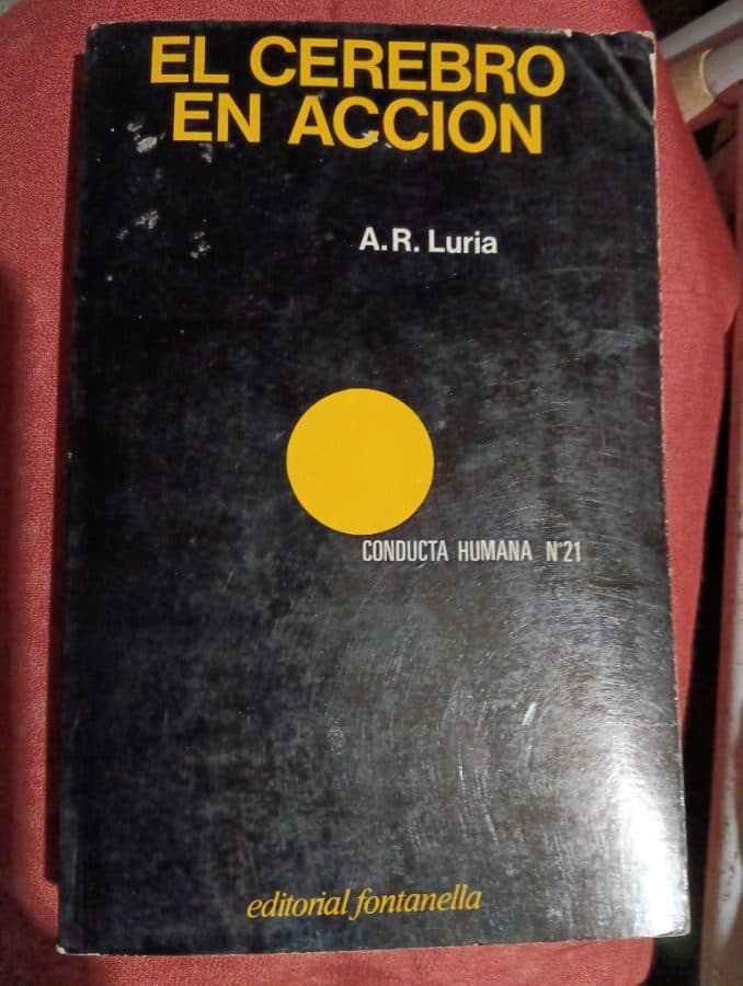 El Cerebro en Acción