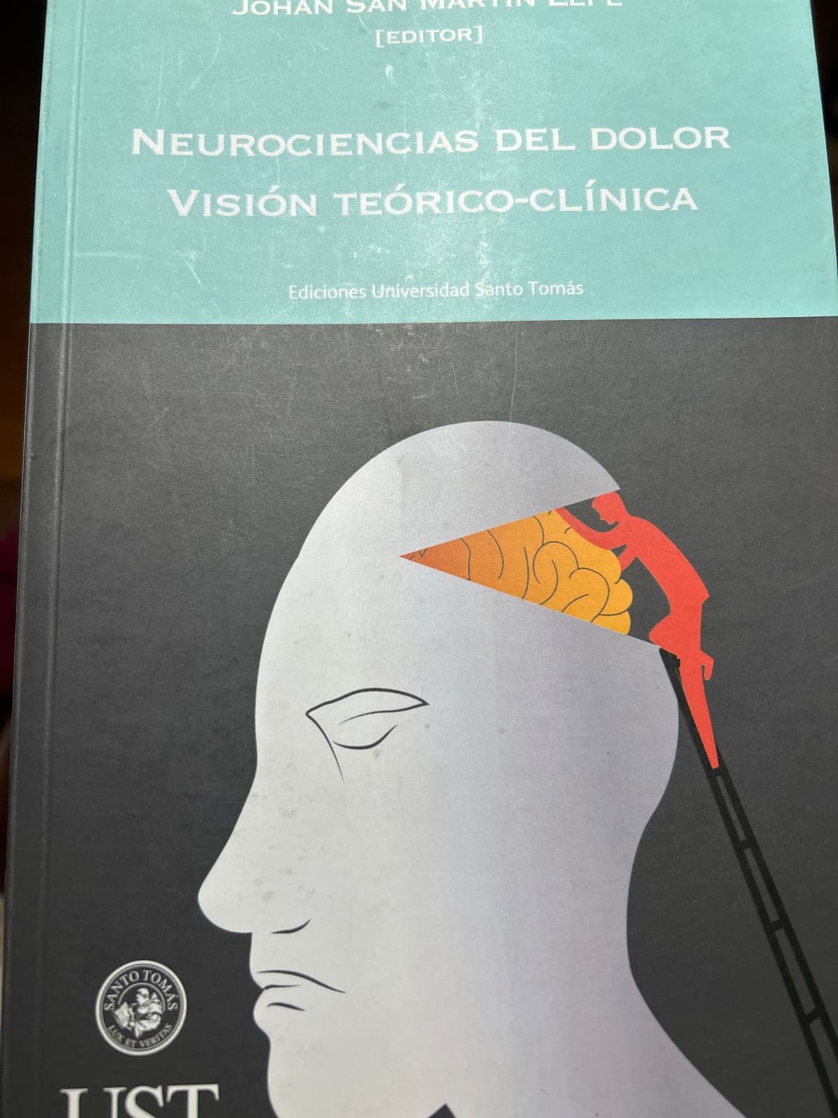 Neurociencias del dolor. Visión teórico-clínica