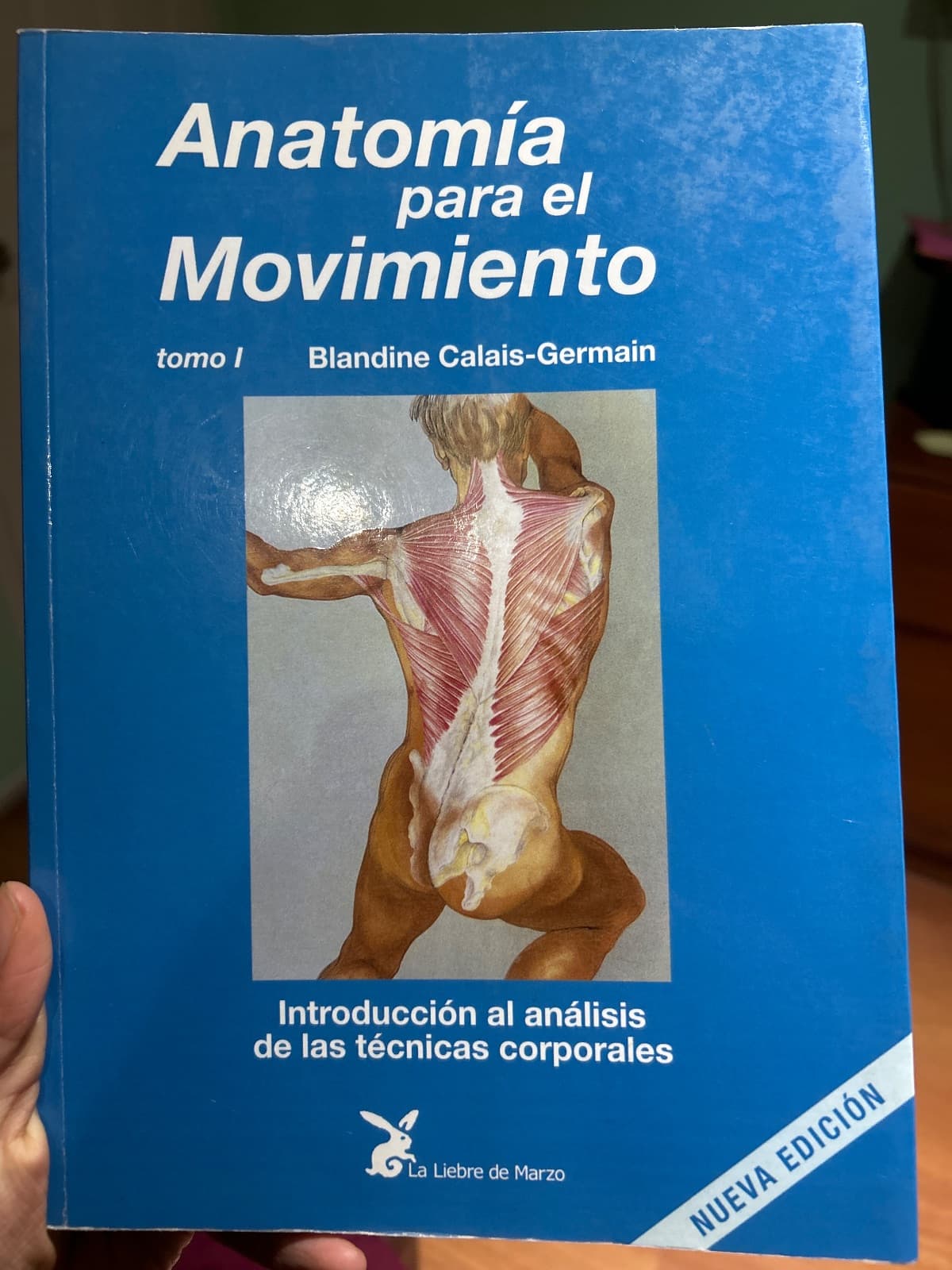 Anatomía para el movimiento