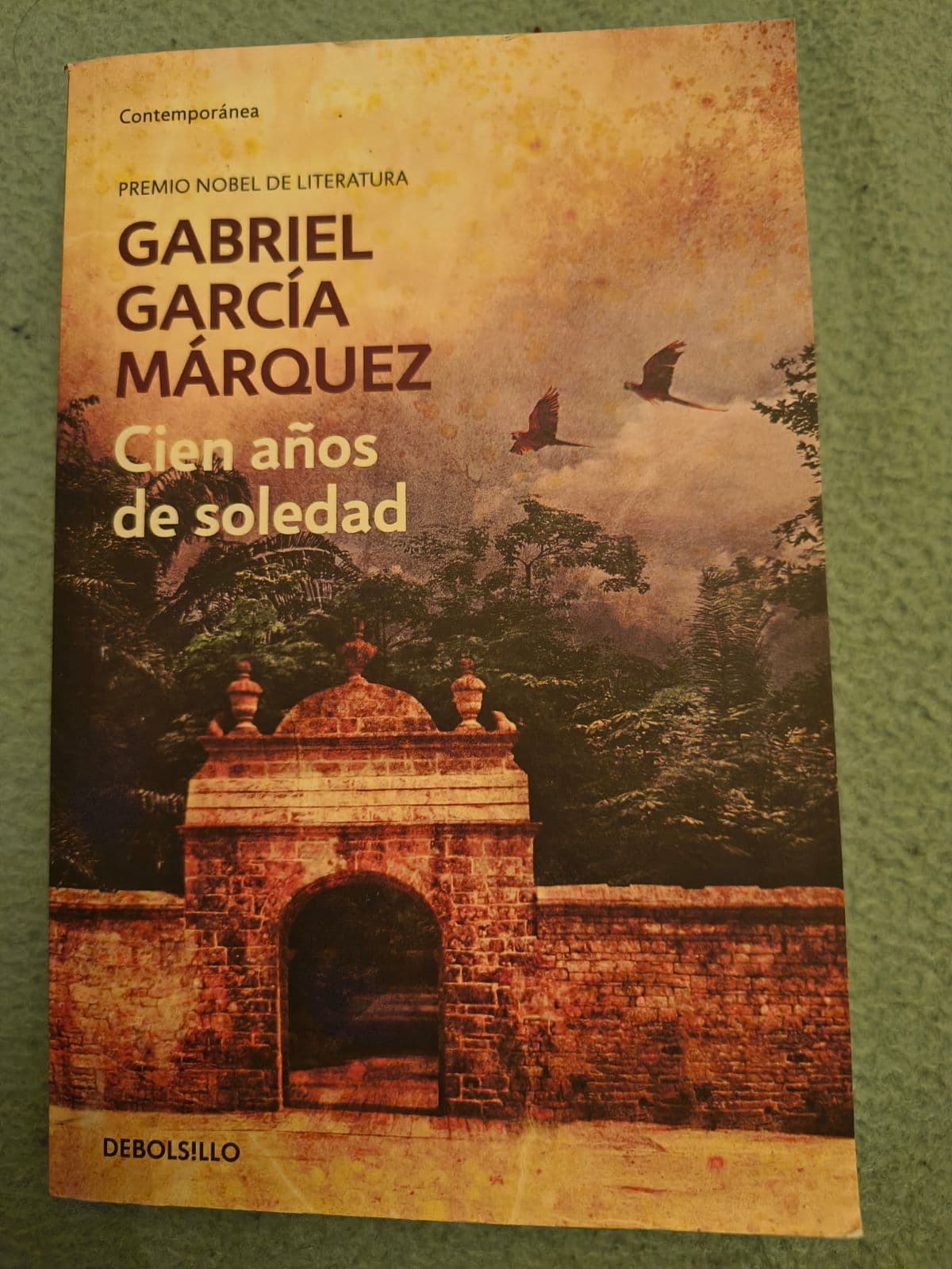 Cien Anos De Soledad / 100 Years of Solitude