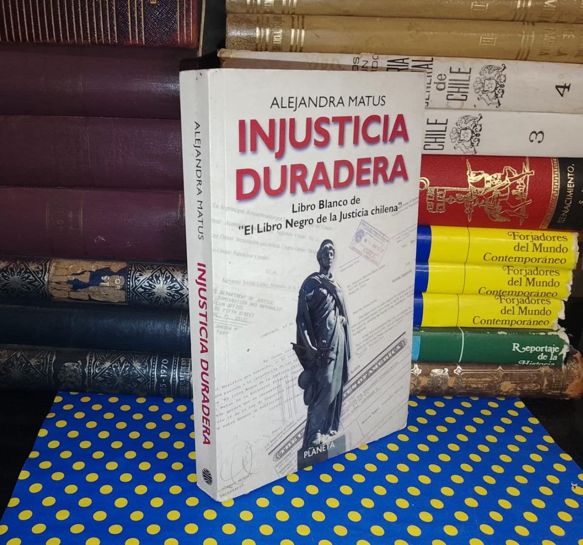 Injusticia Duradera — Alejandra Matus, libro usado