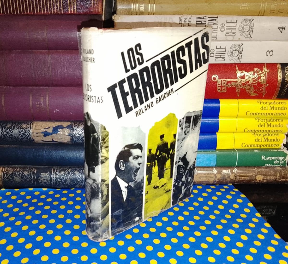 Los Terroristas