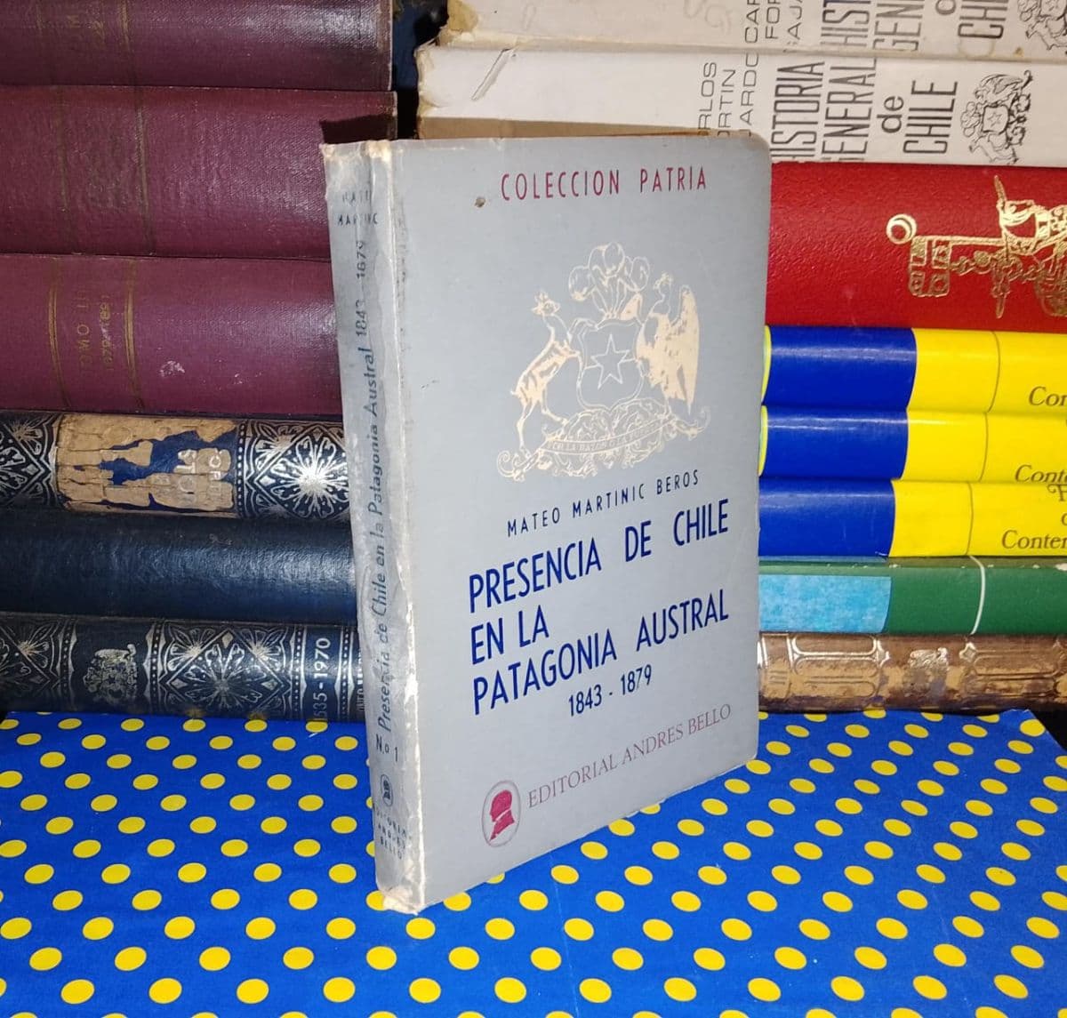 Presencia De Chile En La Patagonia Austral — Mateo Martinic, libro usado