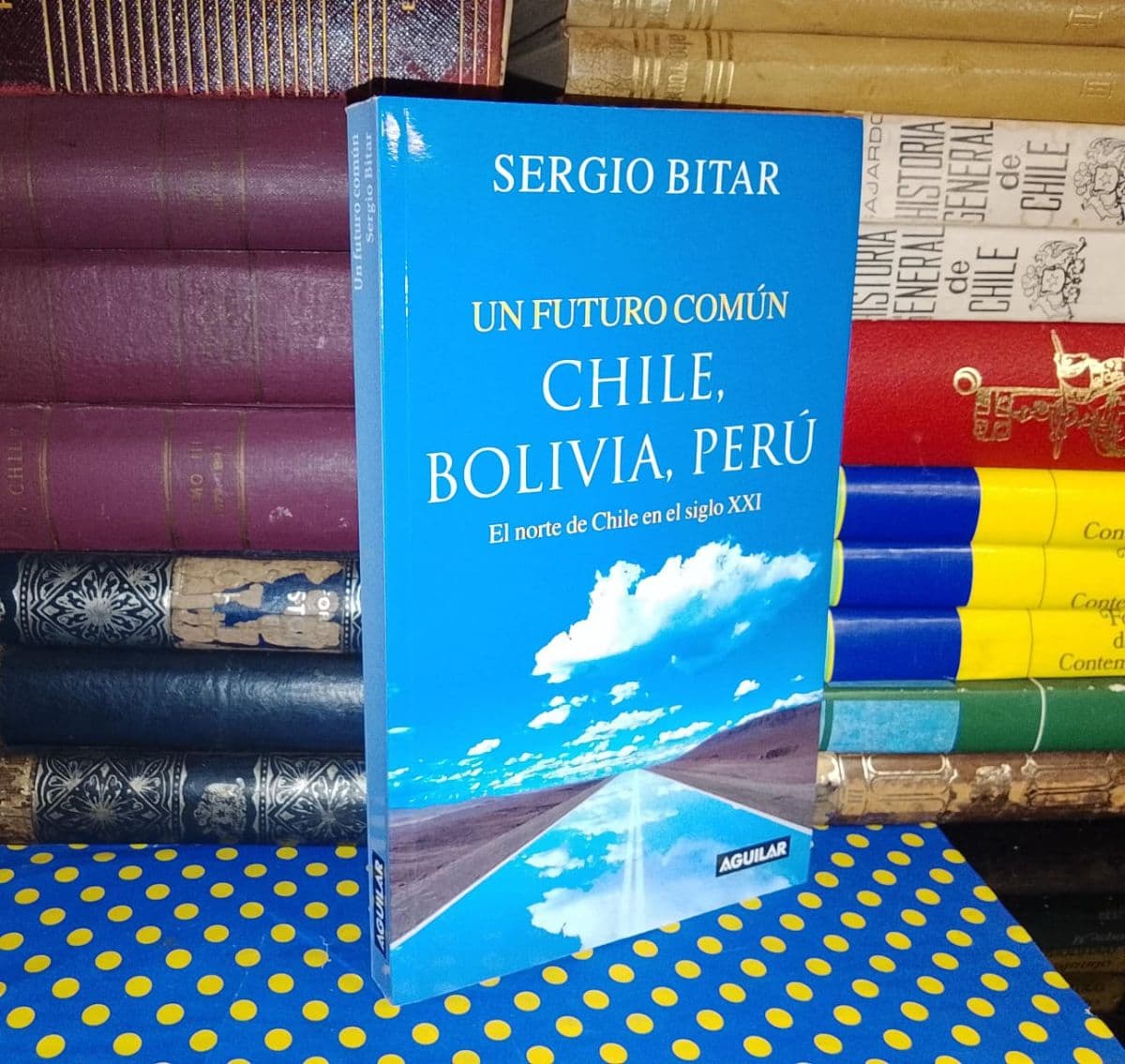 Un Futuro Común Chile, Bolivia Perú — Sergio Bitar, libro usado