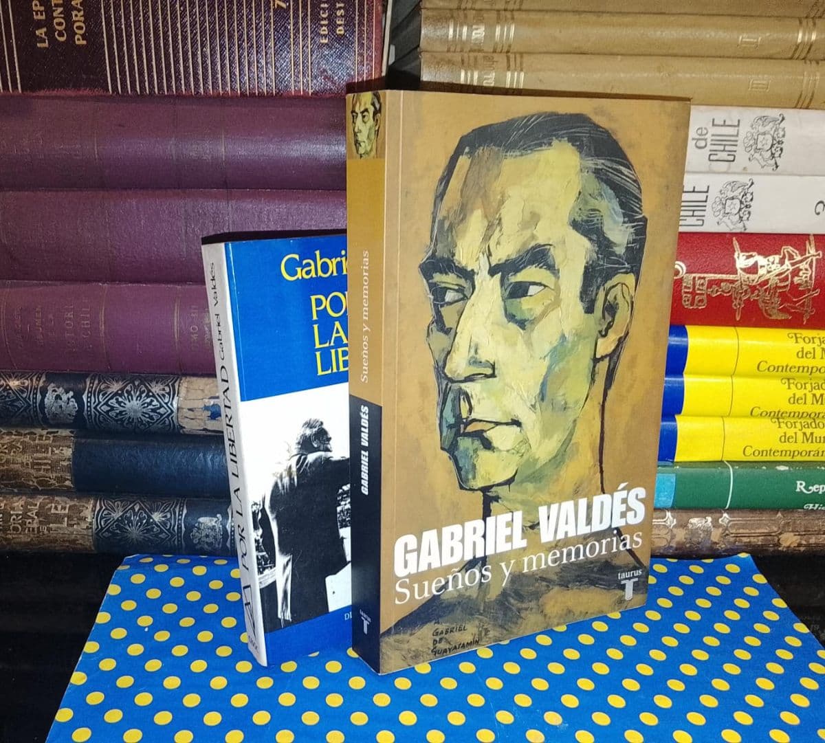 Pack 2 Libros - Gabriel Valdés — Gabriel Valdés , libro usado