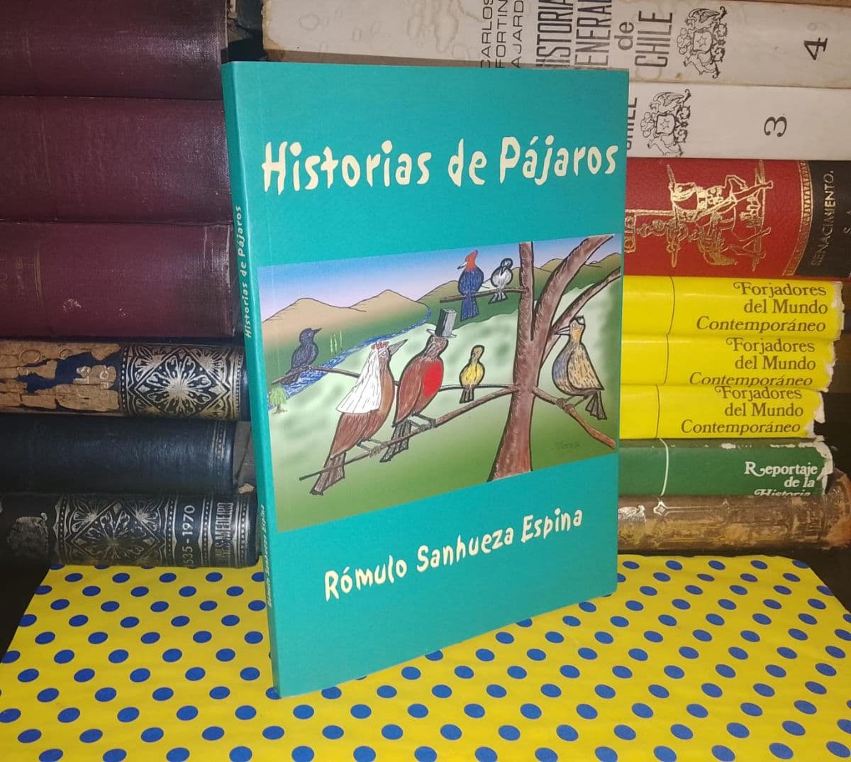Historias De Pájaros — Rómulo Sanhueza Espina, libro usado