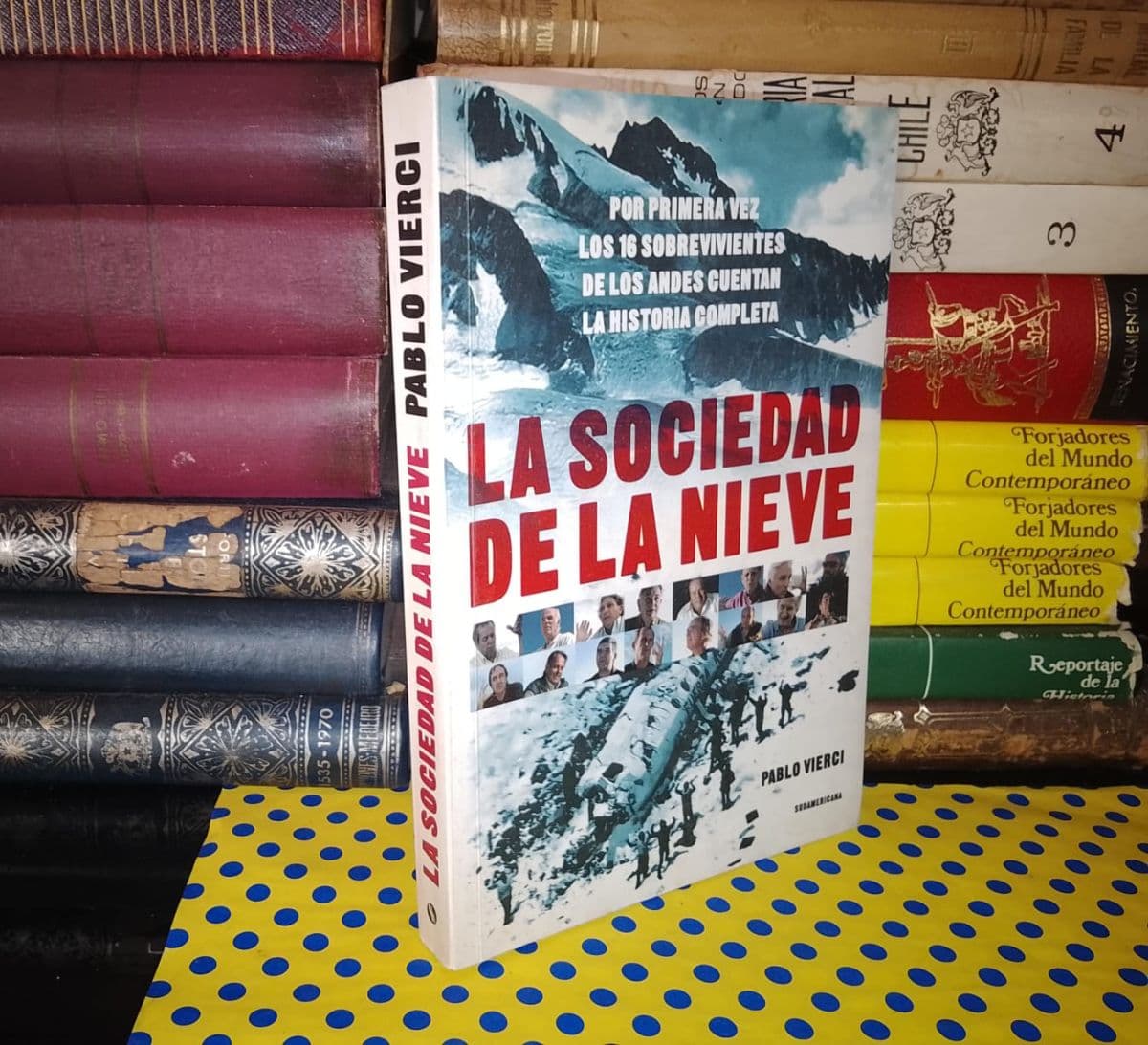 La Sociedad De La Nieve — Pablo Vierci, libro usado