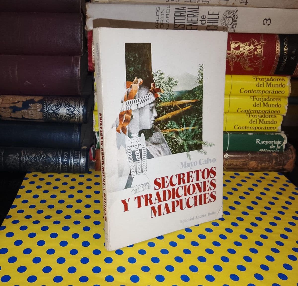 Secretos Y Tradiciones Mapuches — Mayo Calvo, libro usado
