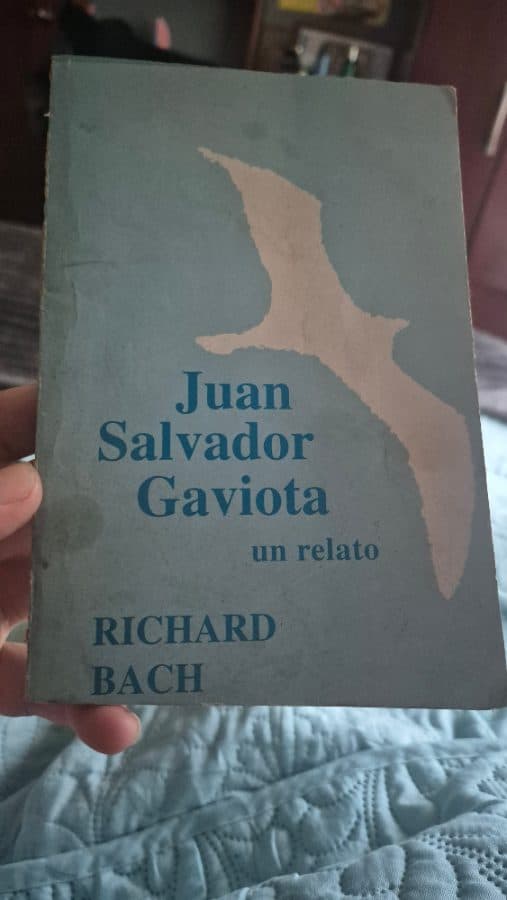 Juan Salvador Gaviota