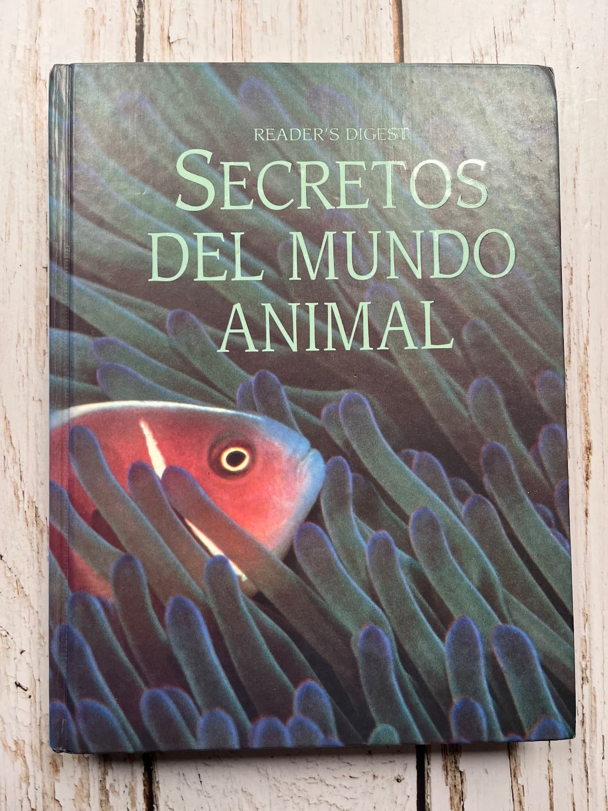 Secretos del reino animal — Editorial Reader’s Digest, libro usado