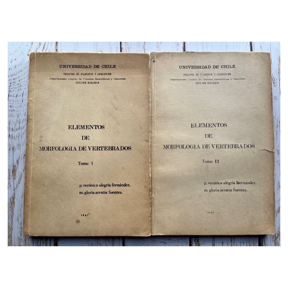 ELEMENTOS DE MORFOLOGÍA DE VERTEBRADOS — TOMOS I-II (1967)