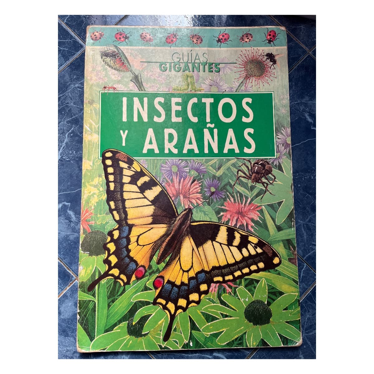 Guías gigantes: Insectos y arañas (leer descripción)