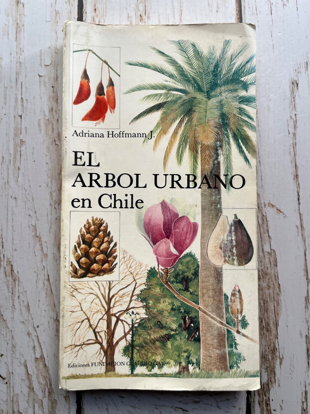 El árbol urbano en Chile (fundación Claudio Gay)