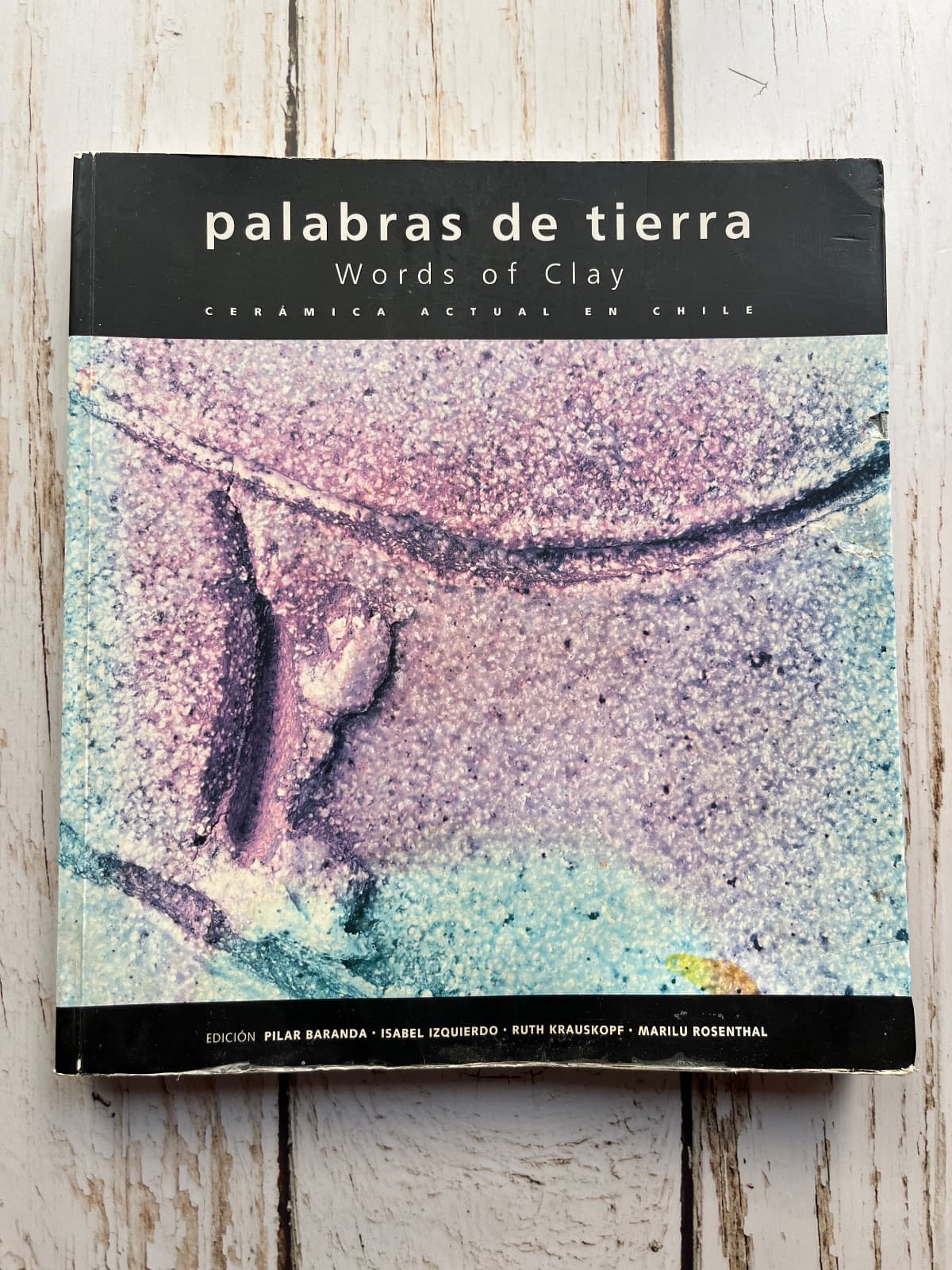 PALABRAS DE TIERRA / WORDS OF CLAY. CERÁMICA ACTUAL EN CHILE