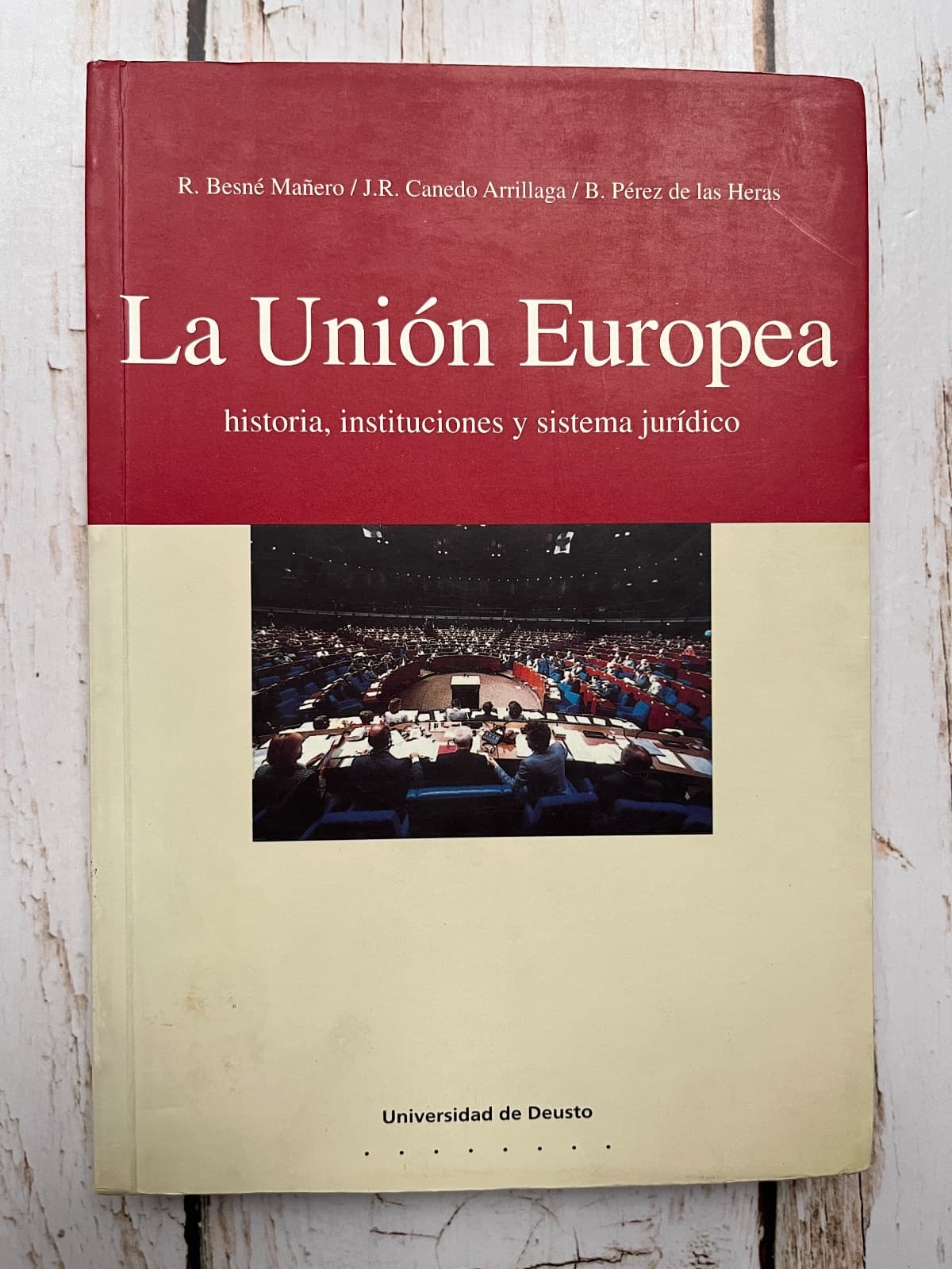 LA UNIÓN EUROPEA. HISTORIA, INSTITUCIONES Y SISTEMA JURÍDICO — R. Besné, libro usado
