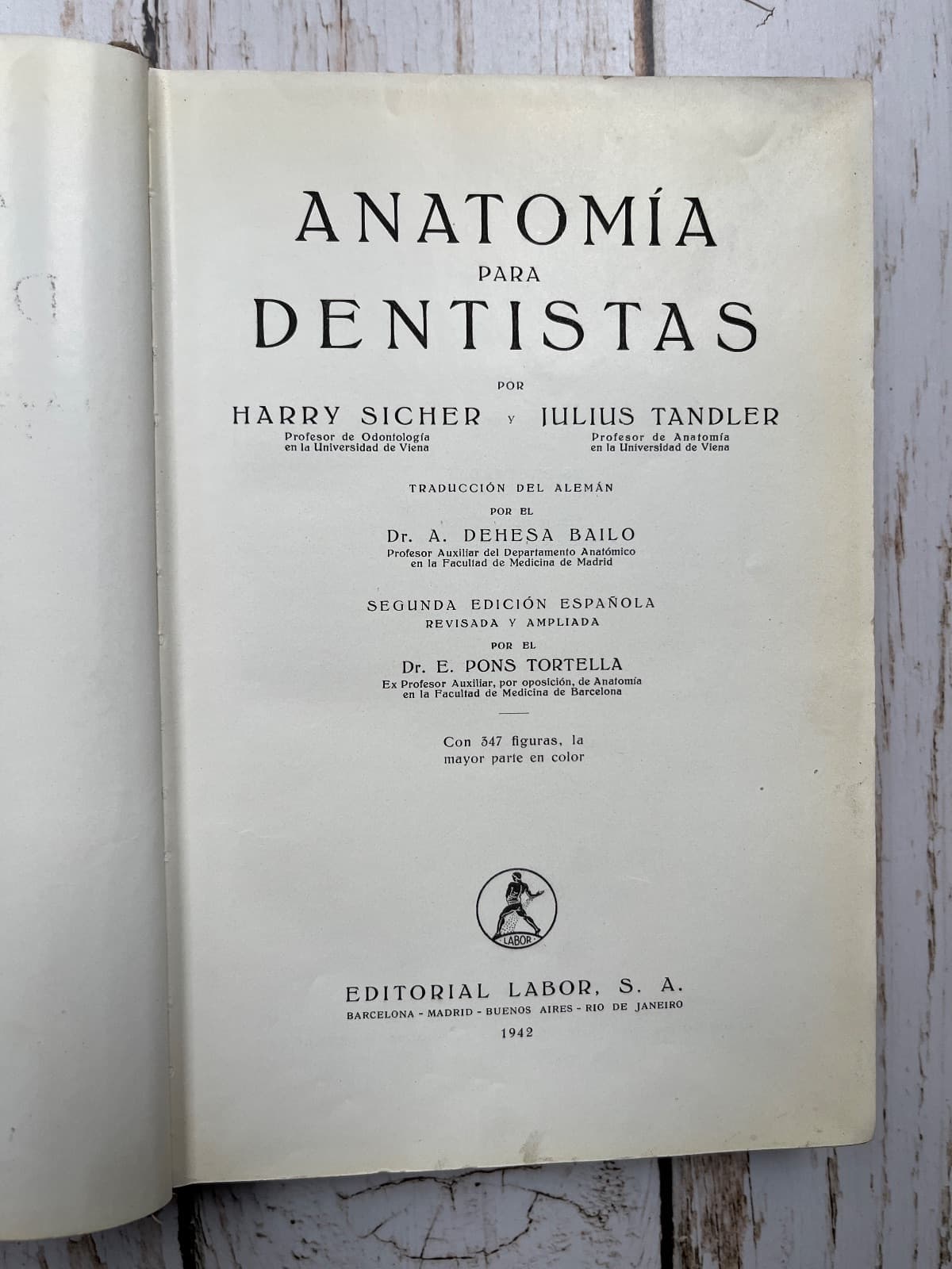 Anatomía para dentistas — Harry Sicher / Julius Tandler, libro usado