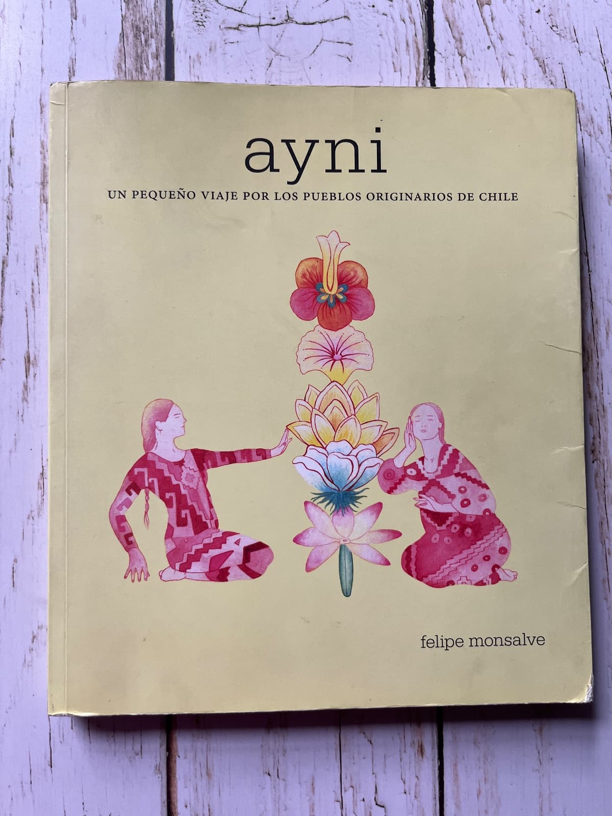 AYNI. UN PEQUEÑO VIAJE POR LOS PUEBLOS ORIGINARIOS DE CHILE — Felipe Monsalve, libro usado