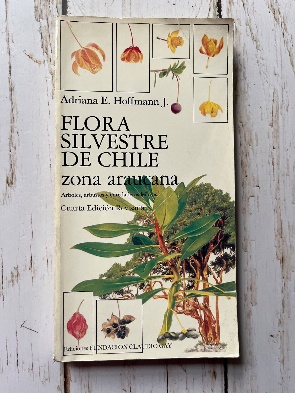 FLORA SILVESTRE DE CHILE. ZONA ARAUCANA — Adriana E. Hoffmann J., libro usado