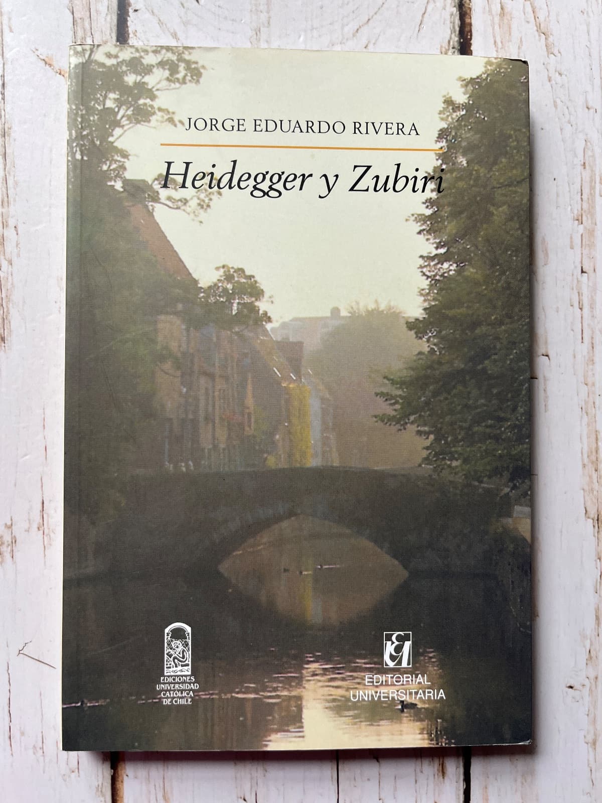 HEIDEGGER Y ZUBIRI — Jorge Eduardo Rivera, libro usado