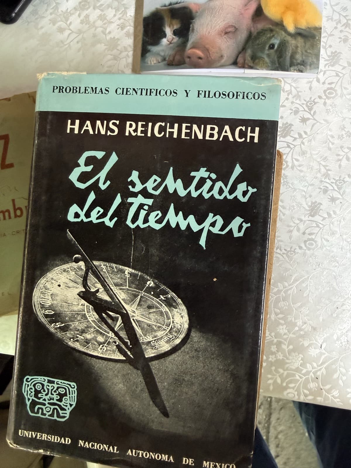 El sentido del tiempo — Hans Reichenbach, libro usado