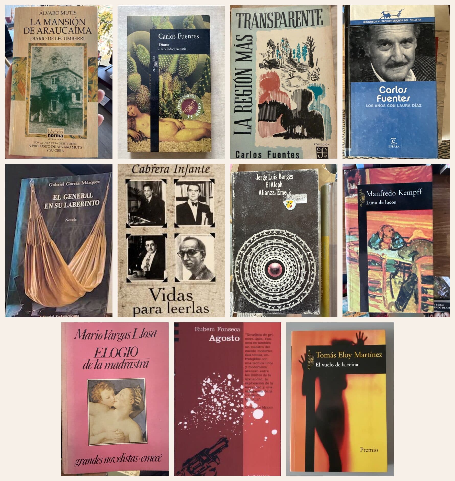 Lote 11 libros latinoamericanos: García Márquez, Borges, Vargas Llosa, Fuentes y más — Varios autores, libro usado