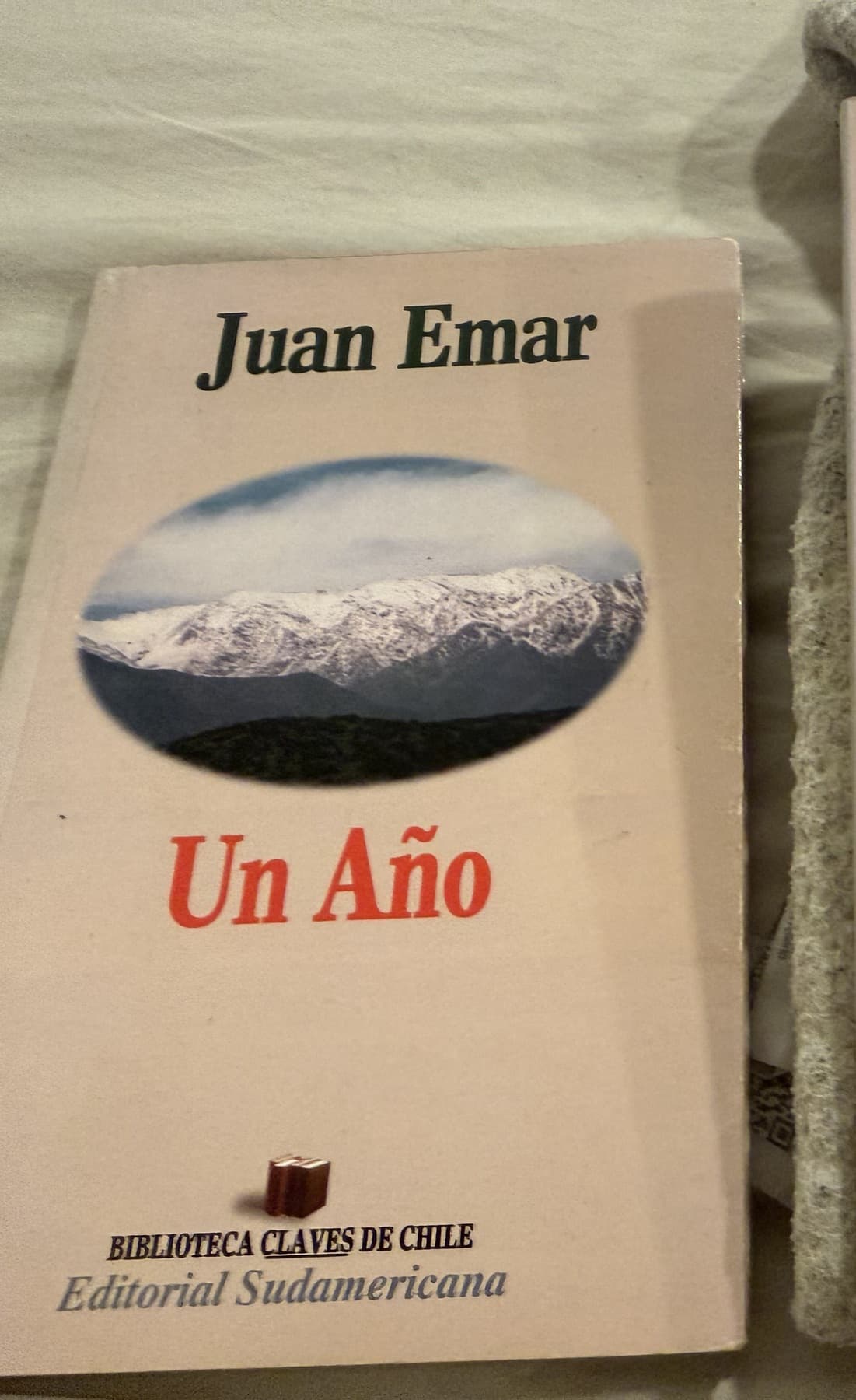 Un Año