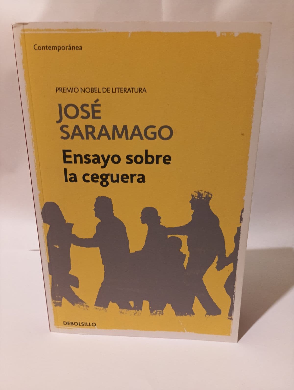 Ensayo sobre la ceguera