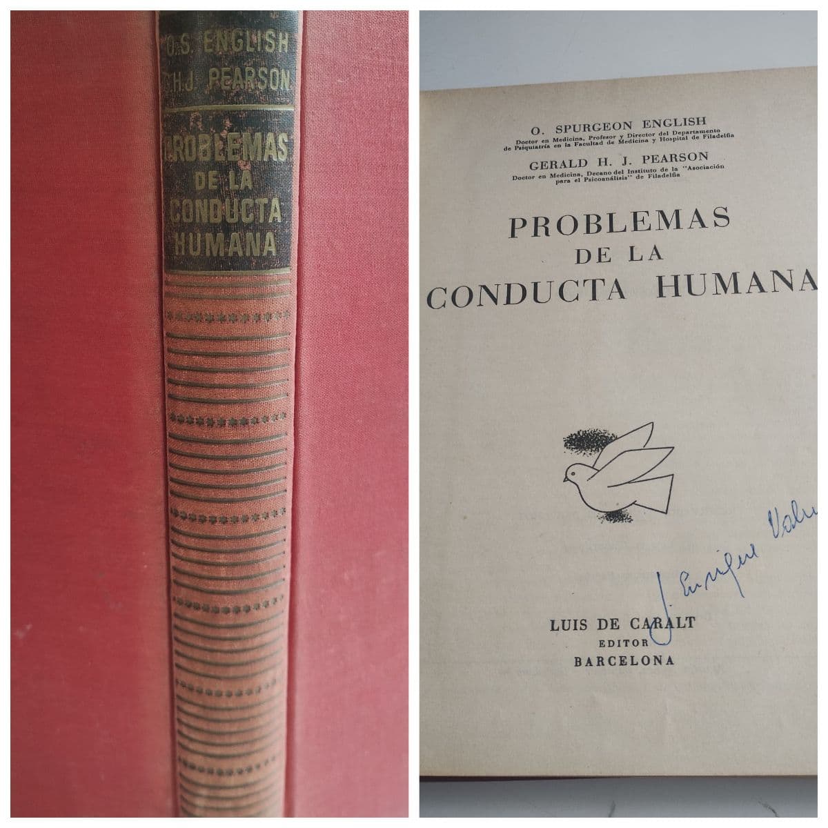 Problemas de la conducta humana — Spurgeon English, libro usado