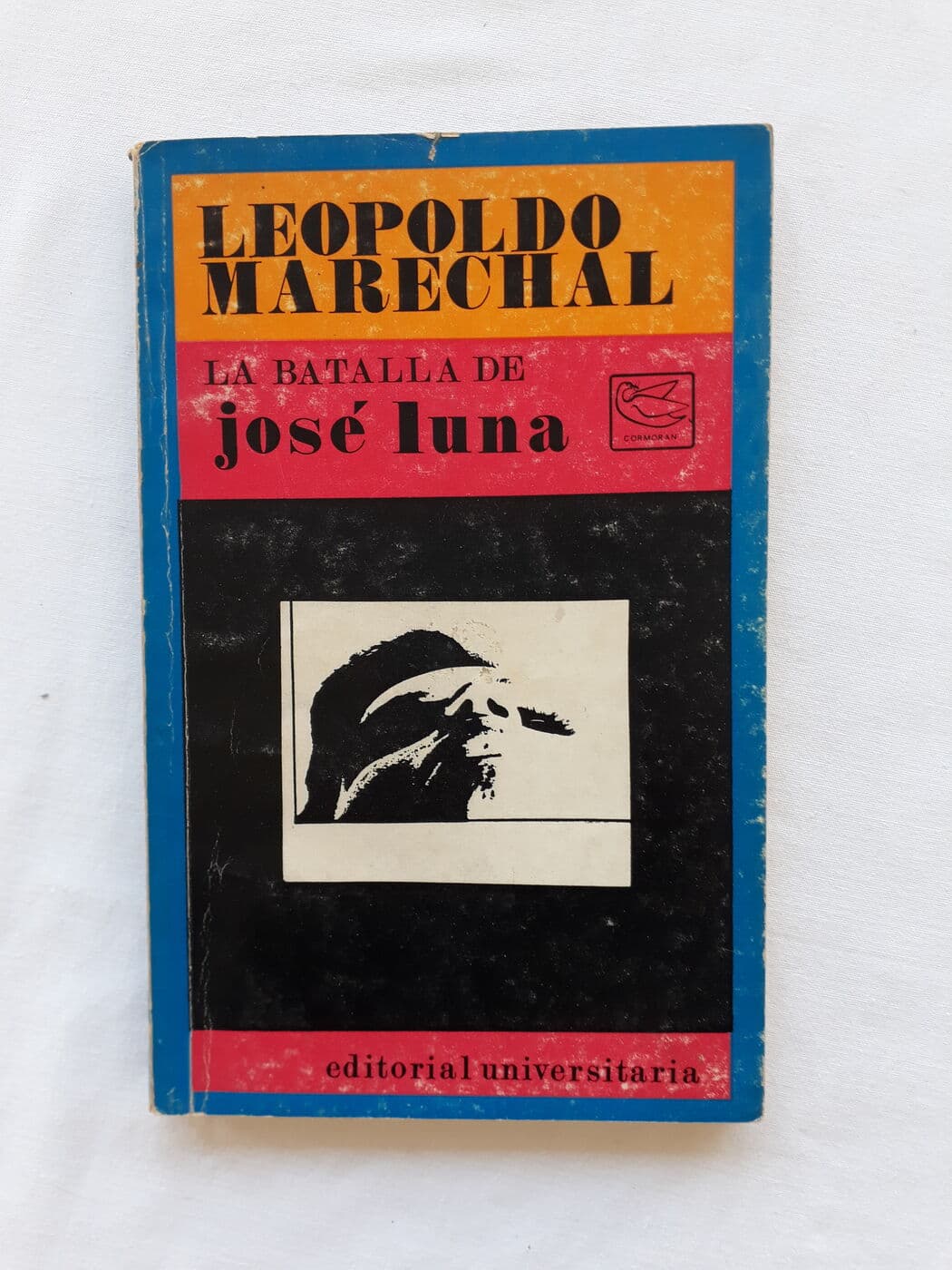 La batalla de José Luna
