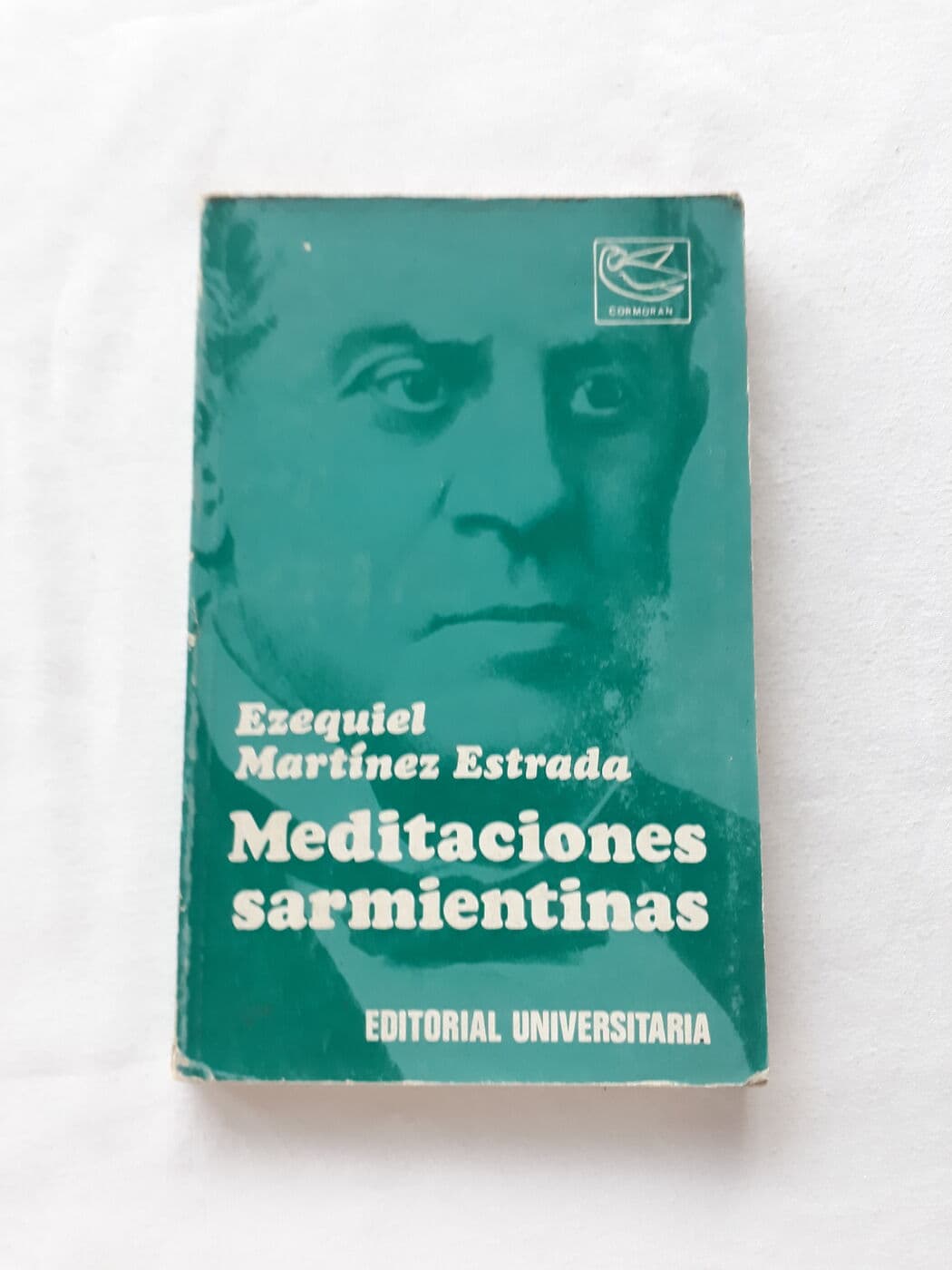 Meditaciones sarmientinas