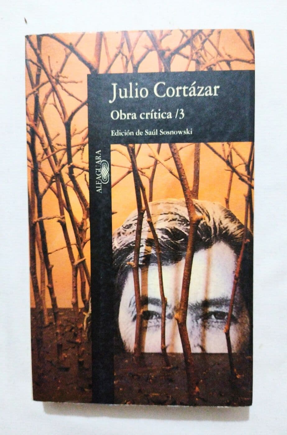 Julio Cortázar. Obra crítica,3 — Saúl Sosnowski (ed.), libro usado