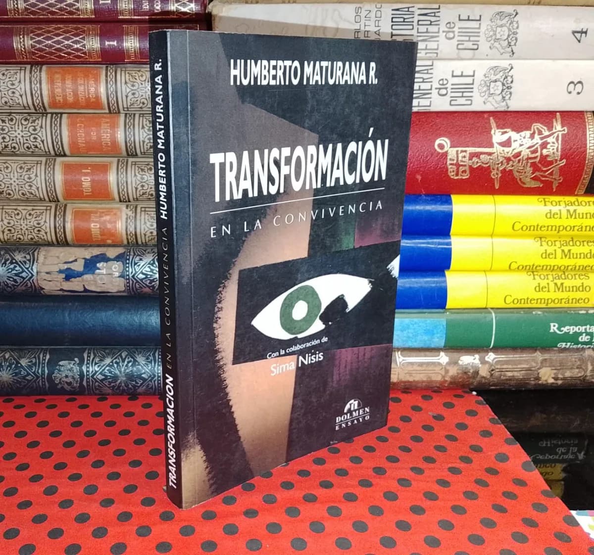 Transformación En La Convivencia