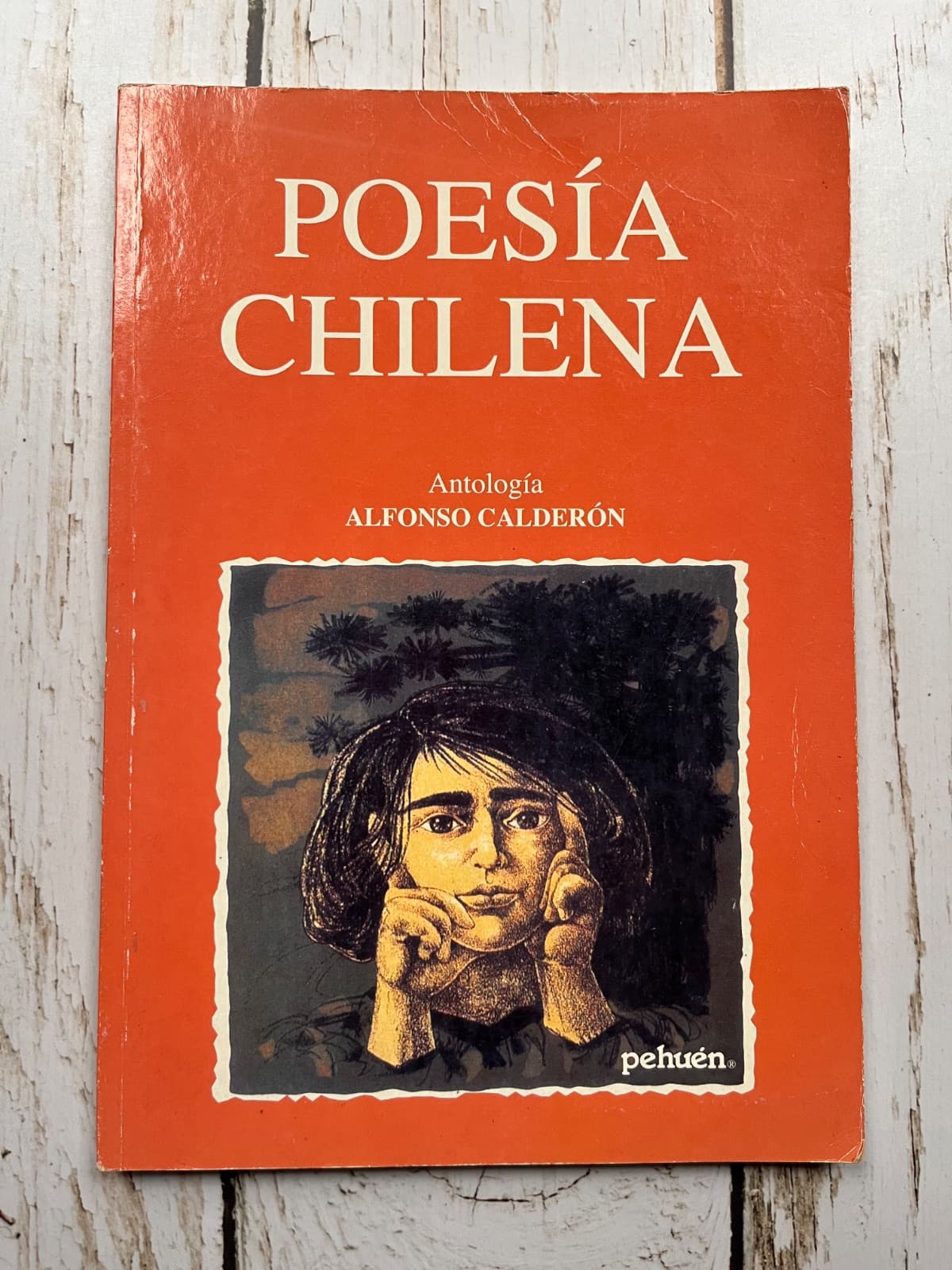 Poesía chilena